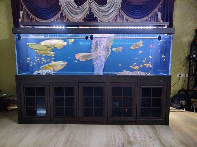 FB_IMG_1575363274717.jpg FB_IMG_1575363274717.jpg