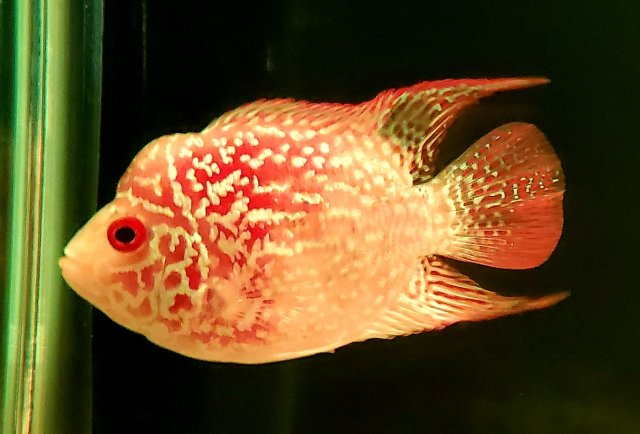 20191205_141605.jpg