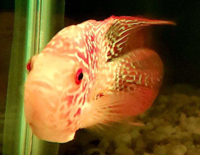20191205_141757.jpg