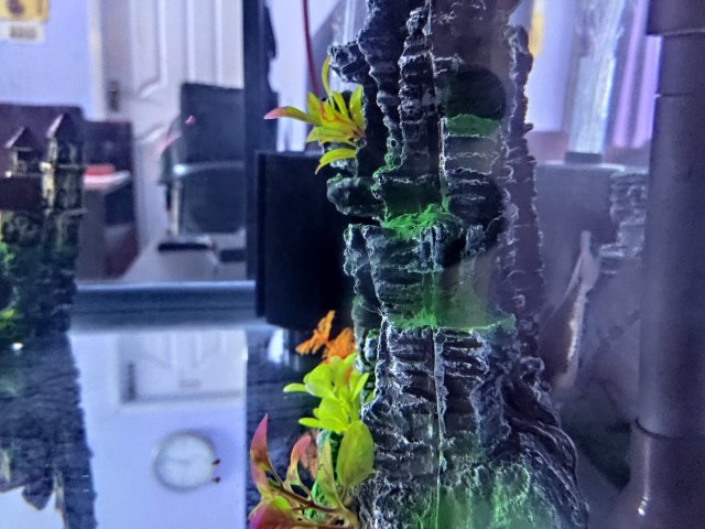 IMG_20191207_033454.jpg IMG_20191207_033454.jpg