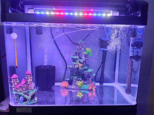 IMG_20191207_051209.jpg IMG_20191207_051209.jpg