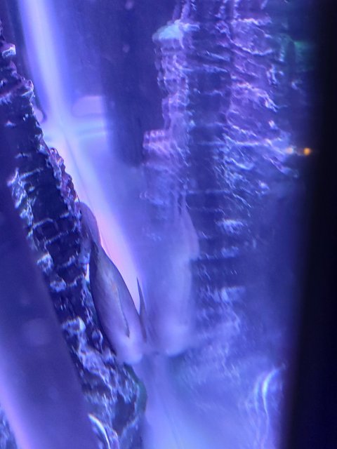 IMG_20191207_051317.jpg IMG_20191207_051317.jpg