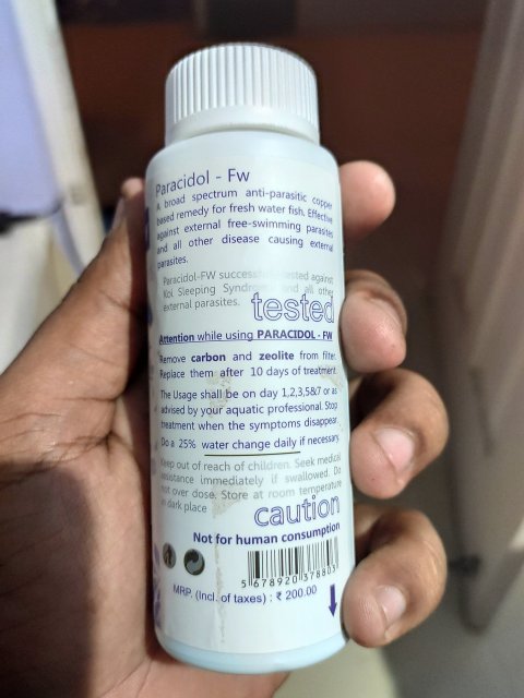 IMG_20191207_053953.jpg IMG_20191207_053953.jpg