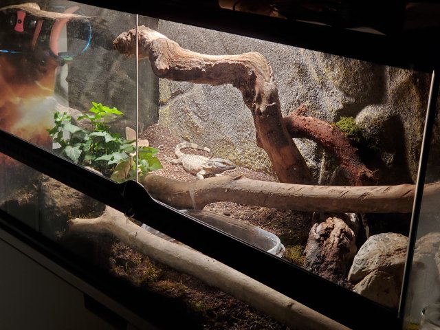 20190519_222601.jpg 20190519_222601.jpg