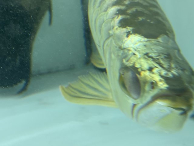 IMG_0874.jpg IMG_0874.jpg