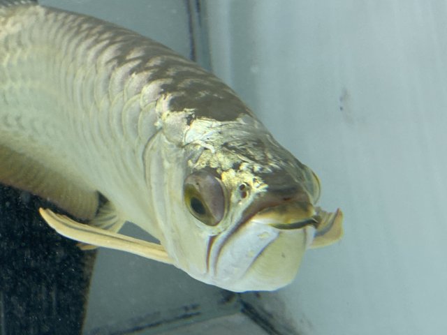 IMG_0875.jpg IMG_0875.jpg