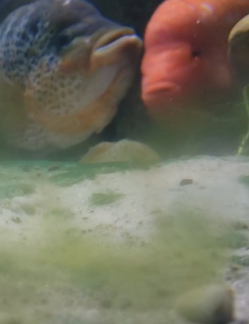 InShot_20191208_183647867.jpg