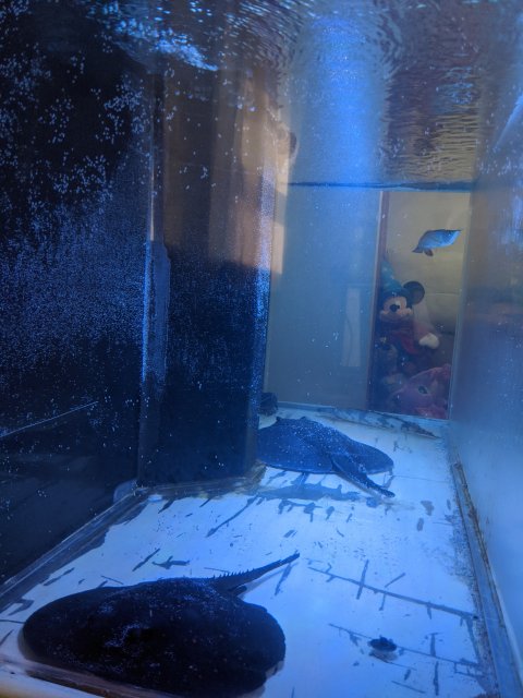 IMG_20191206_142311.jpg IMG_20191206_142311.jpg