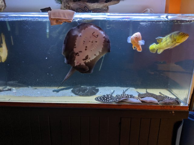 IMG_20191102_103623.jpg IMG_20191102_103623.jpg