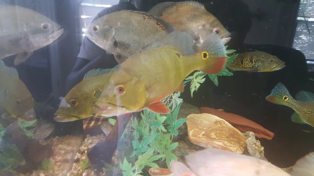 20170826_151057.jpg