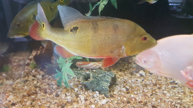 20170826_151101.jpg