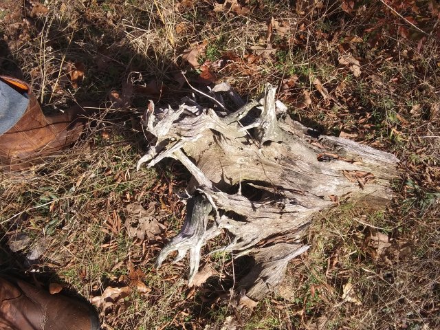 20191203_135501.jpg