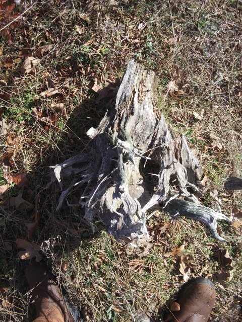 20191203_135451.jpg
