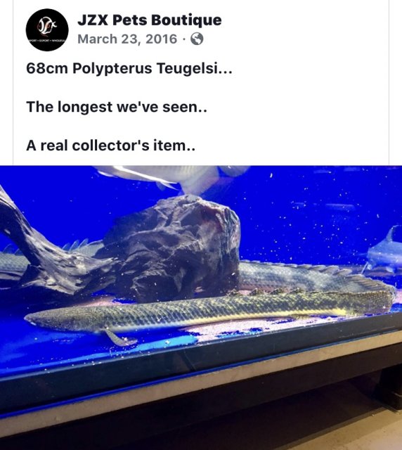 59B07C46-07C4-4F77-AB13-9C351A8874F8.jpeg
