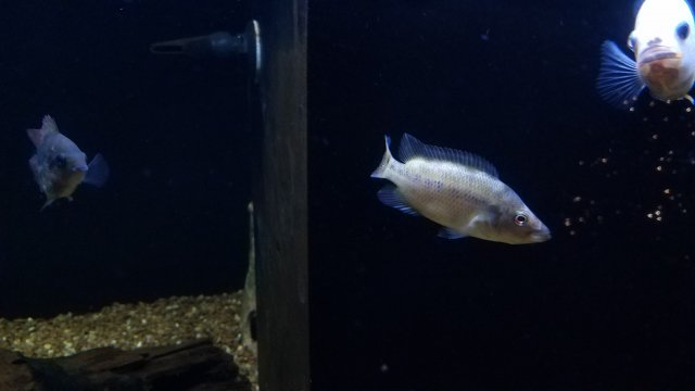20191210_155823.jpg