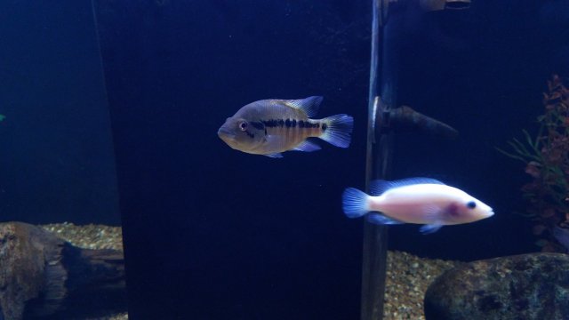 20191205_204219.jpg