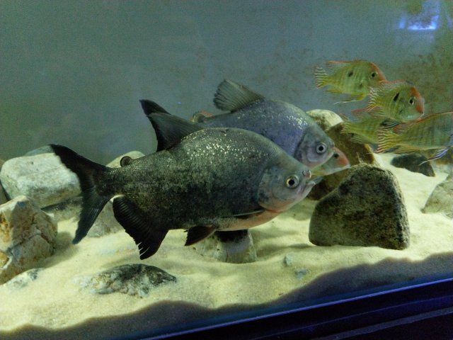 IMG_20191207_205352.jpg