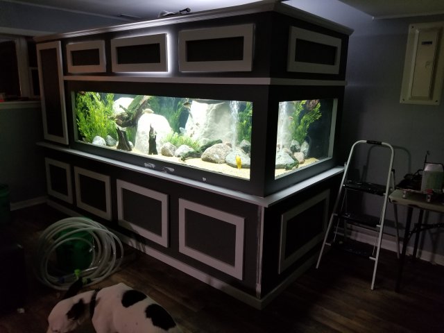 Diy Plywood Aquarium Archaea Mid-Century Modern Wood Cabinet For