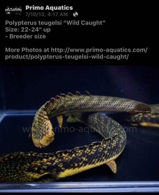 8B79061D-EA23-4405-80F1-048BDEC954A6.jpeg