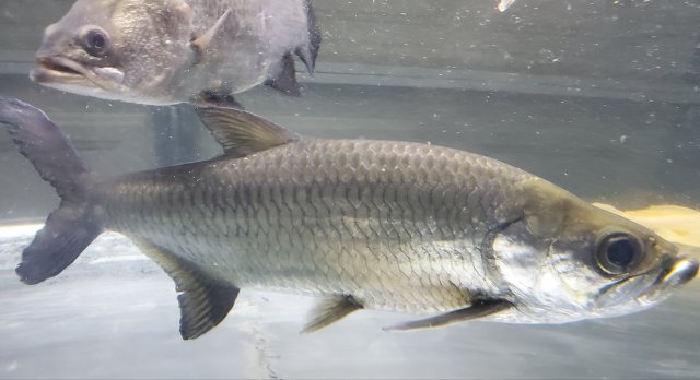 20191212_072902.jpg 20191212_072902.jpg