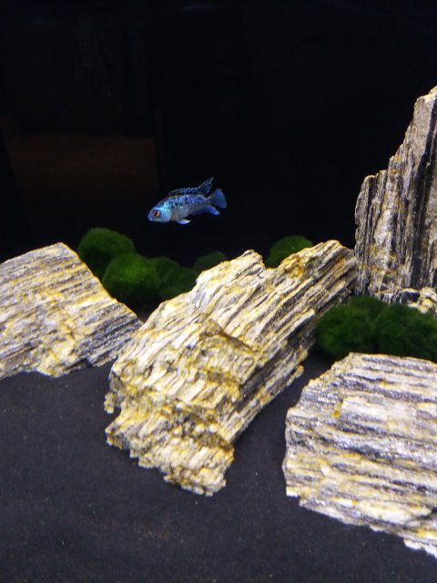 20191212_205100.jpg