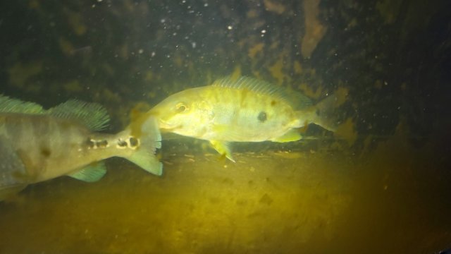 20191213_212229.jpg