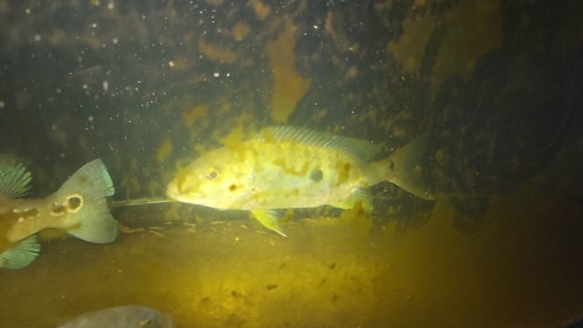20191213_212231.jpg