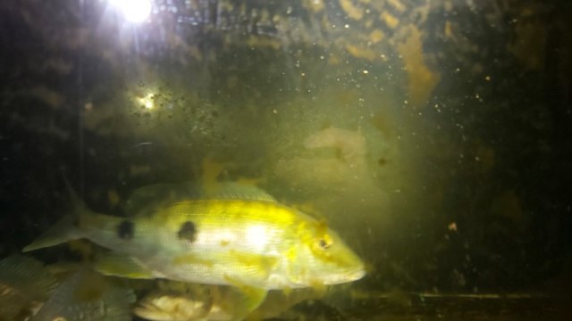 20191213_212238.jpg