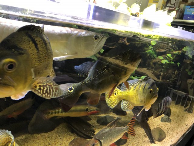 48E7A5A8-D309-465F-B9D6-FC401FEF7DE6.jpeg 48E7A5A8-D309-465F-B9D6-FC401FEF7DE6.jpeg