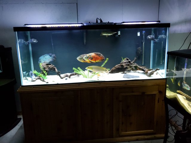 20191222_203735.jpg