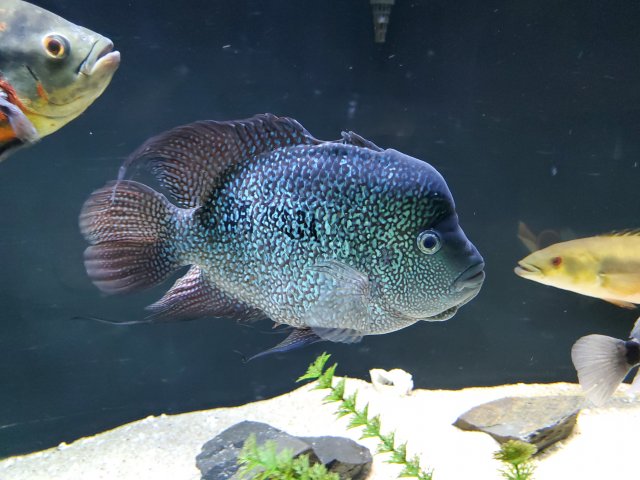 20191222_202636.jpg