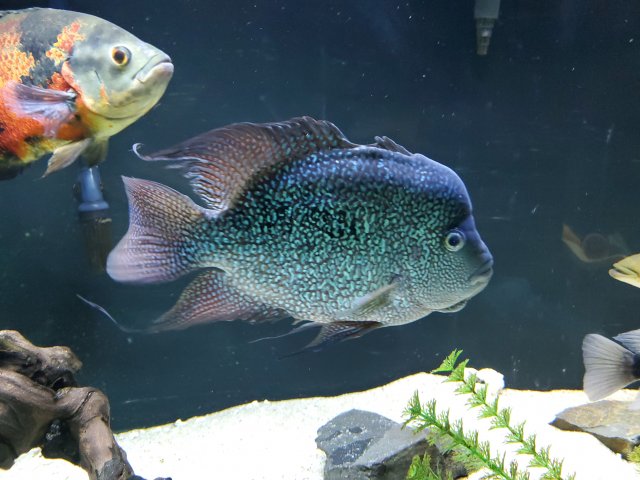 20191222_202635.jpg