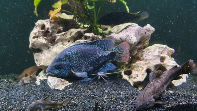 20191217_164044.jpg 20191217_164044.jpg