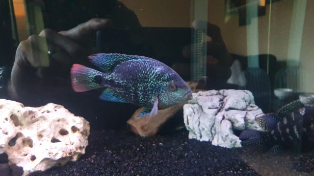 20191225_094501.jpg 20191225_094501.jpg