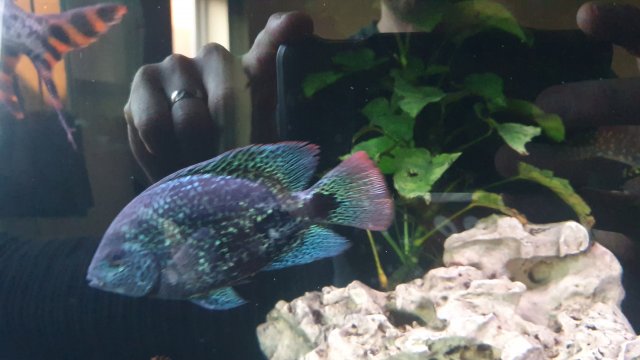 20191225_094446.jpg 20191225_094446.jpg