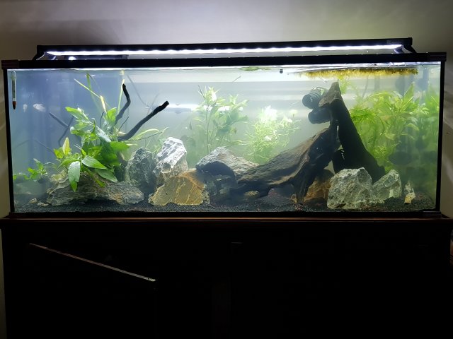 20191226_220857.jpg 20191226_220857.jpg