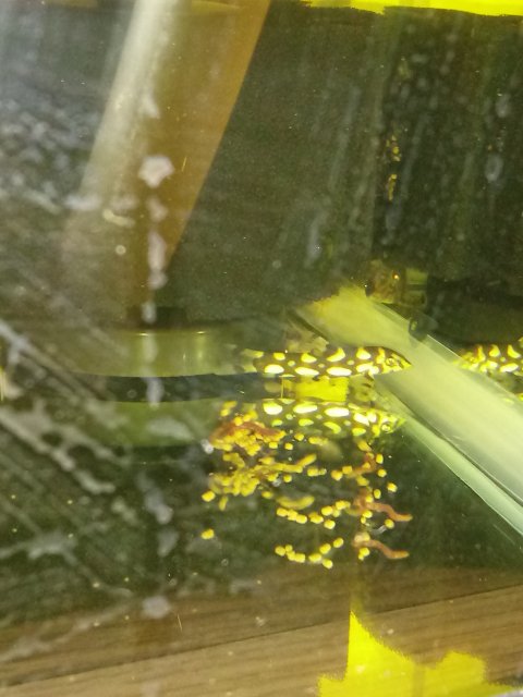 20191228_194559.jpg 20191228_194559.jpg