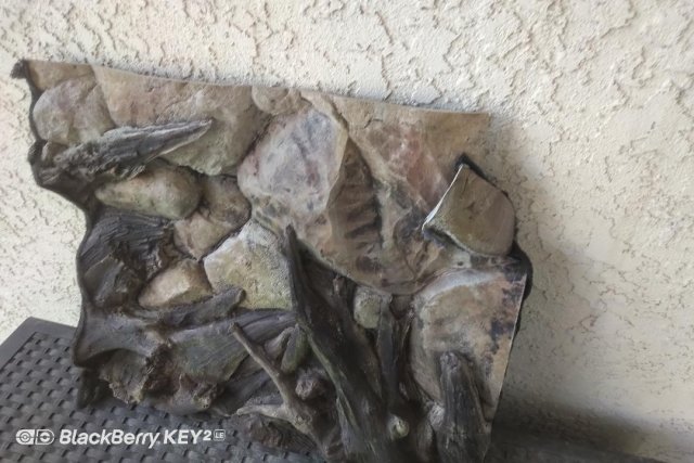 Jungle Bob-2.jpg Jungle Bob-2.jpg