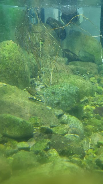 20191125_203203.jpg 20191125_203203.jpg