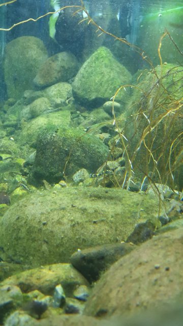 20191125_203221.jpg 20191125_203221.jpg