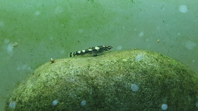 20191209_222451.jpg 20191209_222451.jpg