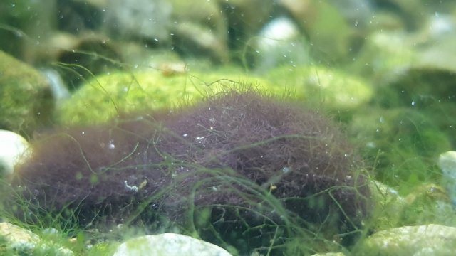 20191209_222516.jpg 20191209_222516.jpg