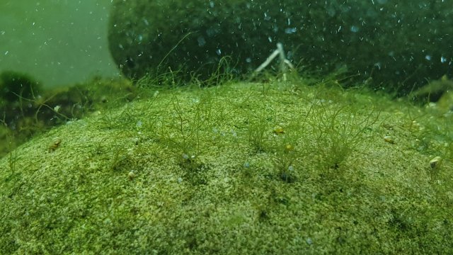 20191209_222522.jpg 20191209_222522.jpg