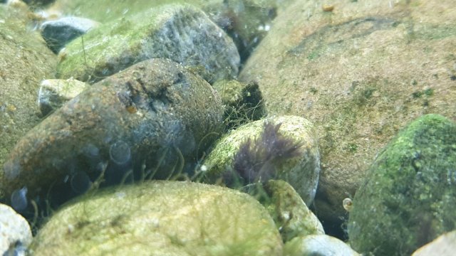 20191209_222527.jpg 20191209_222527.jpg