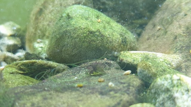 20191209_222540.jpg 20191209_222540.jpg