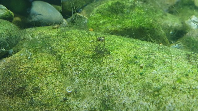 20191209_222548.jpg 20191209_222548.jpg