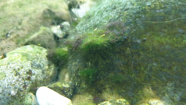 20191209_222602.jpg 20191209_222602.jpg