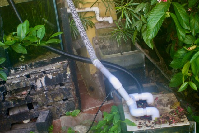 B2CB4D16-76EC-4D62-80EF-9B3B9374319F_1_201_a.jpeg B2CB4D16-76EC-4D62-80EF-9B3B9374319F_1_201_a.jpeg