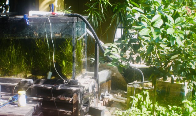 CEECD9B5-4D46-41E6-8BAF-3A60776C7800_1_201_a.jpeg CEECD9B5-4D46-41E6-8BAF-3A60776C7800_1_201_a.jpeg