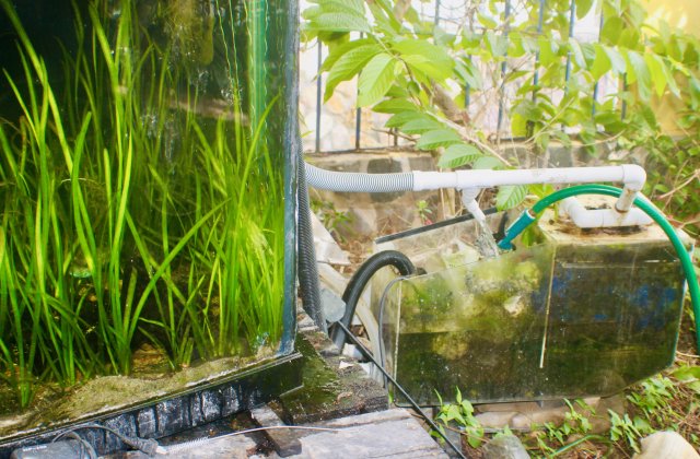 02C9201A-FD67-4DD2-8161-AEE8D25EBE31_1_201_a.jpeg 02C9201A-FD67-4DD2-8161-AEE8D25EBE31_1_201_a.jpeg